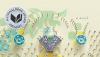‘Pachinko’ an unforgettable historical novel