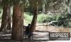 Heatwave to push temperatures to 45C across Morocco through Wednesday