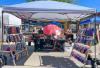 Art in the Park in Frankfort