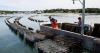 Maine-Farmed Oysters Favored by Discerning Palates