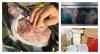 Vanload of dangerous foods from Albania to be destroyed