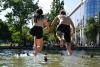 Europe Heatwave: Why Paris Banned Public Alcohol Consumption and How Drinking in Extreme Heat Can Harm Your Body
