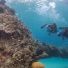 Lesser-known Florida Keys wreck dives