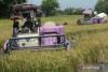 Indonesia's new farming system targets 12.4 tons per hectare: minister