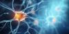 Scientists discover deep brain stimulation physically reshapes the brain’s information superhighway