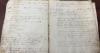 $3 estate sale find reveals lost 1800s Shiawassee County Court history