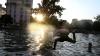 Europe heat wave: Why Paris banned drinking liquor and what alcohol does to the body