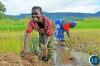 Government committed to transform Agriculture sector