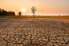 Government Steps Up El Niño Preparedness to Safeguard Food Security