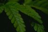 Study Explored How Gender Identity Influences Cannabis Use Patterns