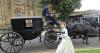 Historic horse-drawn carriages fetch more than £200,000 in York auction