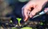 Soil Testing Helps Farmers Improve Yields and Protect the Land (6-27-2026)