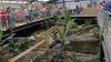 Major update from UK zoo after boy, 3, 'thrown in crocodile enclosure'