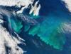 Plankton decline leaves North Atlantic seas in poor health