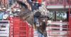 PRCA nearing move to Cheyenne after board of directors vote