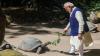 PM Modi meets Jonathan, world's oldest living land animal during visit to Seychelles