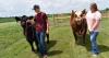 No fair: Meat animal sale going virtual