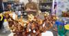 Boise Mushroom Company grows culinary and medicinal mushrooms