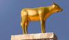 TONSE ALLIANCE’S GOLDEN CALF: WHY SHORTCUTS AND DECEPTION WILL NOT DELIVER VICTORY