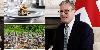 Keir Starmer U-turns on manifesto pledge and caves into EU over controversial foie gras