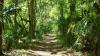 Florida state parks to waive admission fees for Independence Day weekend in 2026