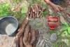 Turning ‘ubi kayu’ into super sustainable food products