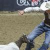 Wyoming Cowgirls climb to second in CNFR standings