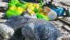 Ocean Conservancy Applauds Alaska Marine Debris Resolution