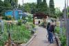 WEST SEATTLE WEEKEND SCENE: Barton St. P-Patch Party