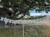 Amateur-radio operators gather in West Seattle for Field Day 2026