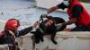 US Fox News American rescue teams pull infant alive from rubble in Venezuela days after devastating twin earthquakes