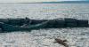 Once dead after a pirogue capsized due to wind on a river in Chad