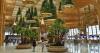 Bengaluru T2’s tropical aesthetic is out of place – a bit like the ‘Garden City’ moniker