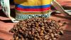 New sectors set to boost Türkiye-Colombia trade ties