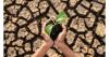 Climate crisis redefines the European summer