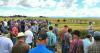 Wheat breeding partnership yields first variety releases