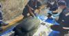 17-year-old dead Thai girl's body found stuffed in suitcase near railway track, man arrested