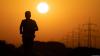Germany Records All Time High Of 41.5°C Temp As Heatwave Bakes Europe