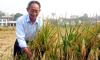 Douyin permanently bans 2-mln-follower vlogger for smearing late Father of Hybrid Rice Yuan Longping's scientific achievements