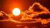 Call for action on how climate change impacts European agri-work