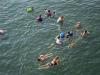 Swiss heatwave breaks records as River Aare warms