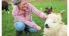 Why tourists are flocking to Scotland’s crofts in growing wool travel trend