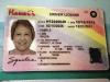 Kokua Line: What will new Hawaii driver’s license look like?