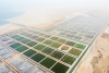 Oman’s shrimp aquaculture company targets 3,200-tonne output in South Sharqiyah