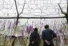 S. Korea, Japan reaffirm pledge to denuclearize Korean peninsula