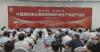 China expands carbon fiber capacity with three world-class production lines