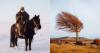 Photographer Spends Six Years with Chilean Ranchers Who Live in Isolation