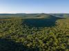 28 June Is World Tree Day: Five Trees That Define Paraguay’s Landscape