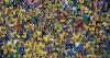 Brazil and Japan Set for Round of 32 Showdown