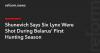 Shunevich Says Six Lynx Were Shot During Belarus’ First Hunting Season